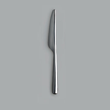 【THE】 DINNER KNIFE