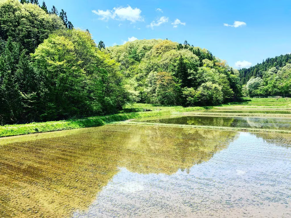 ブランド | 山燕庵