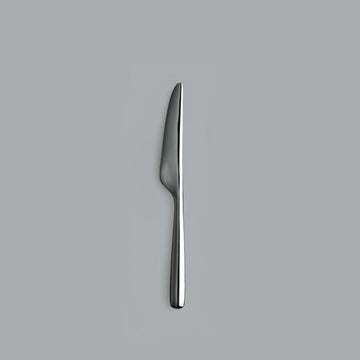 【THE】 BUTTER KNIFE