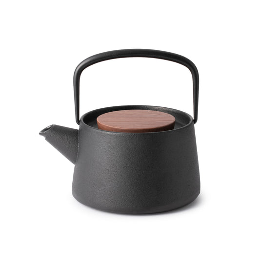 【南部池永】tetu急須