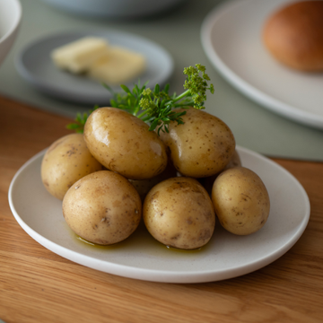 【精成舎】uzra オーバルプレート M　全2色